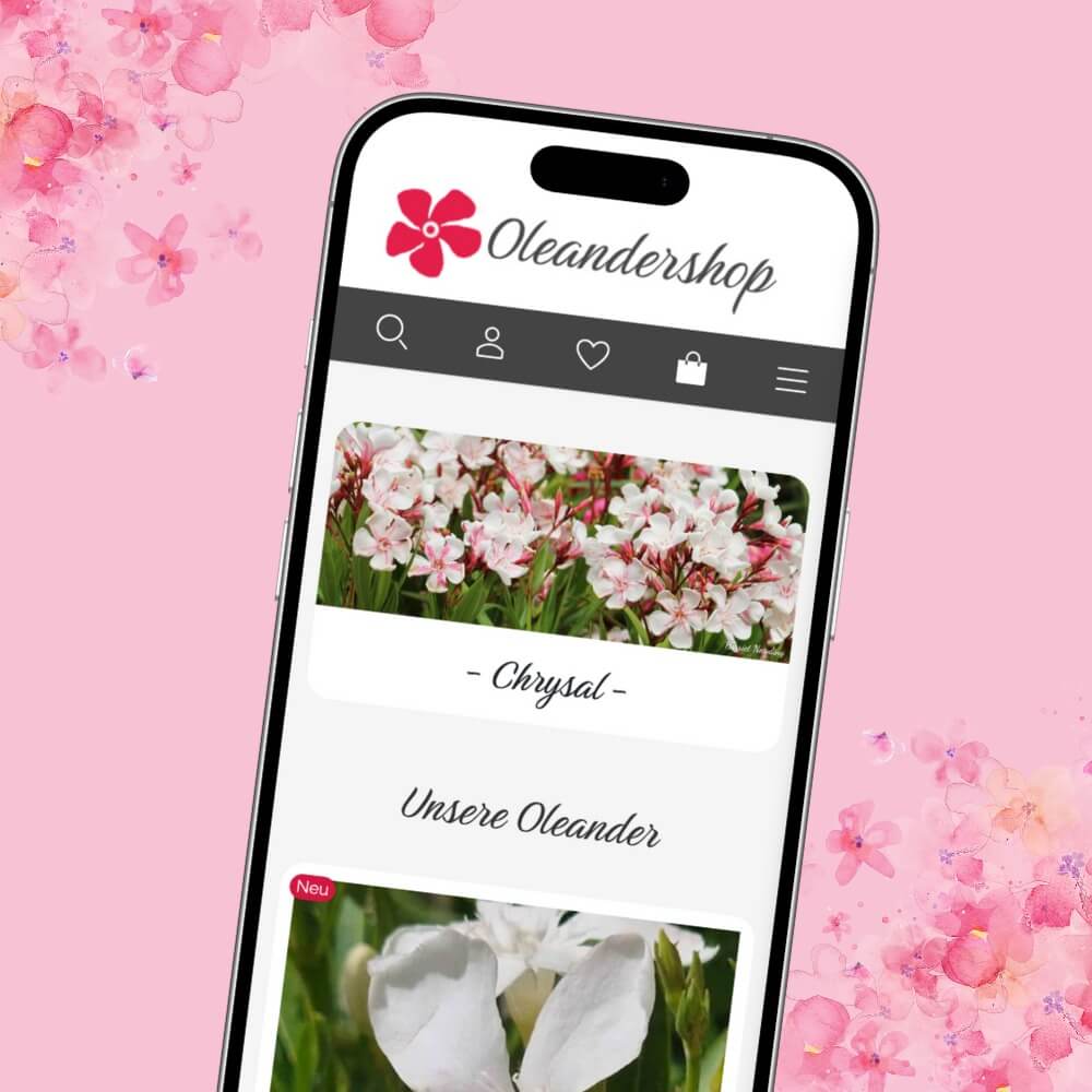 plentyshop / plentyOne Agentur